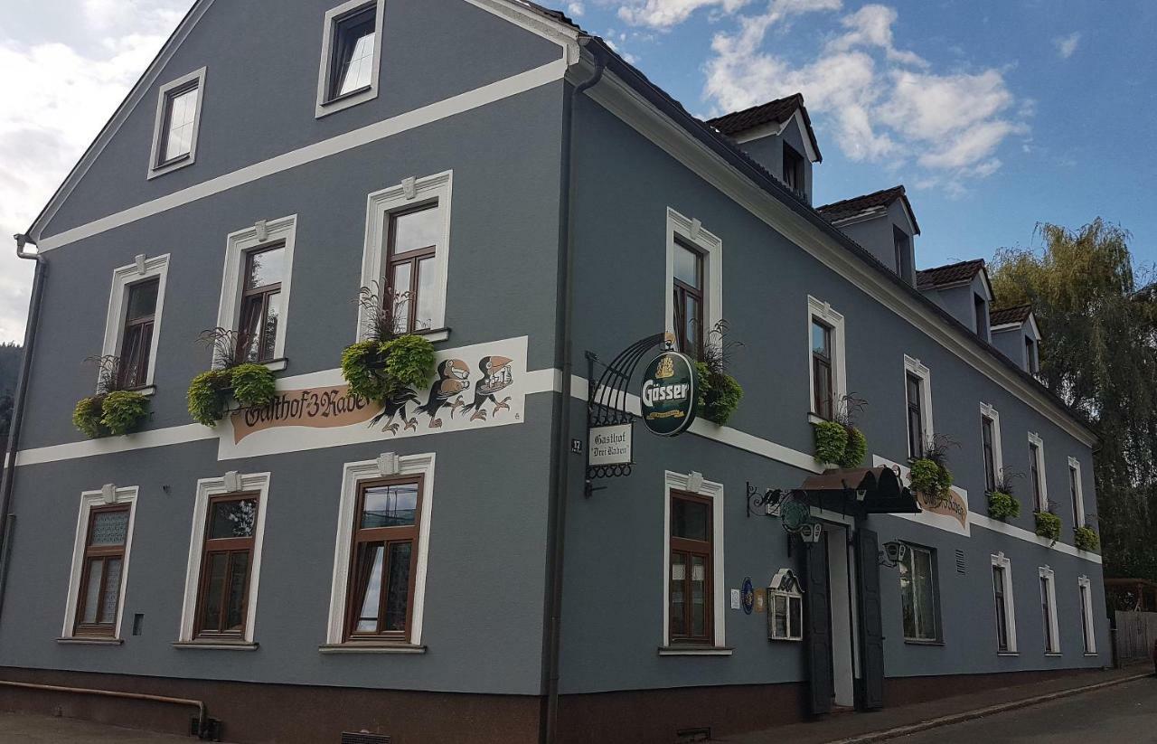 3 Raben - Leoben - Zimmer Fuer Geschaeftsreisende, Urlauber, Monteure Und Handwerker, Polski Pensjonat Austria エクステリア 写真